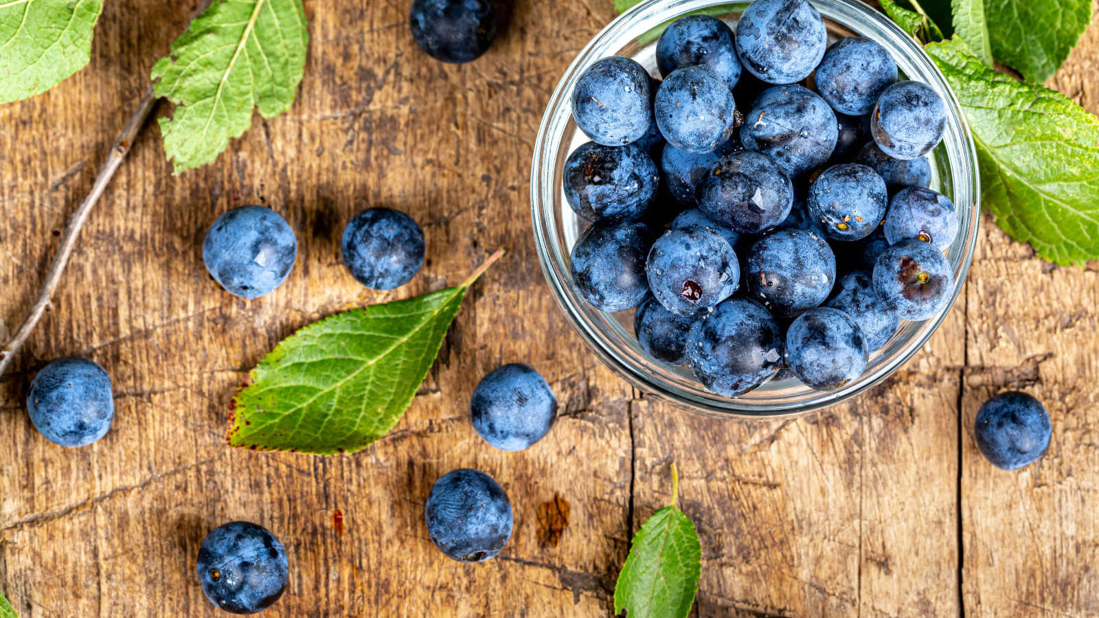 Спелые ягоды черники в стеклянной миске на столе 