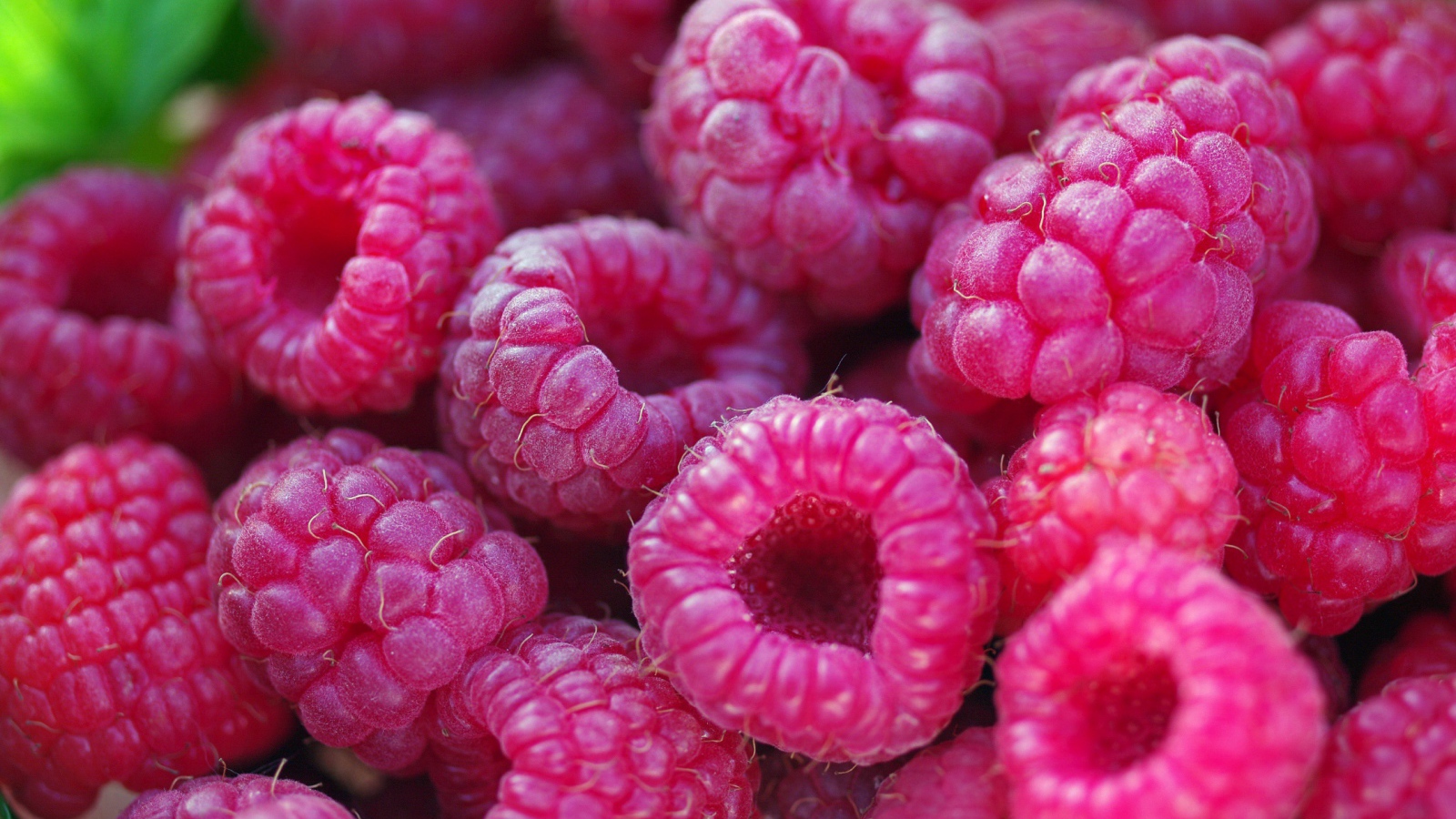 Спелые крупные ягоды малины 