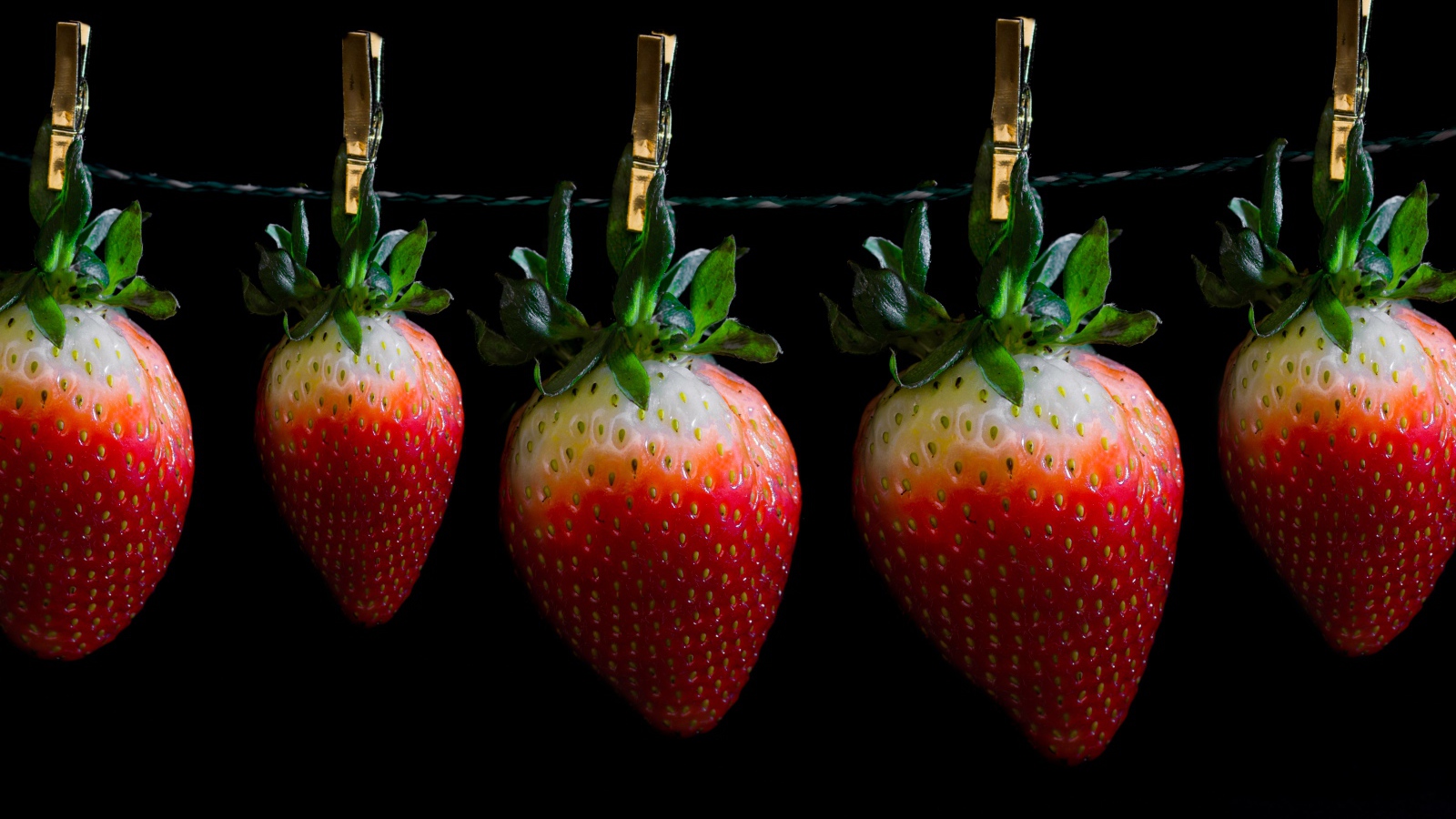 Спелая клубника висит на прищепках на черном фоне