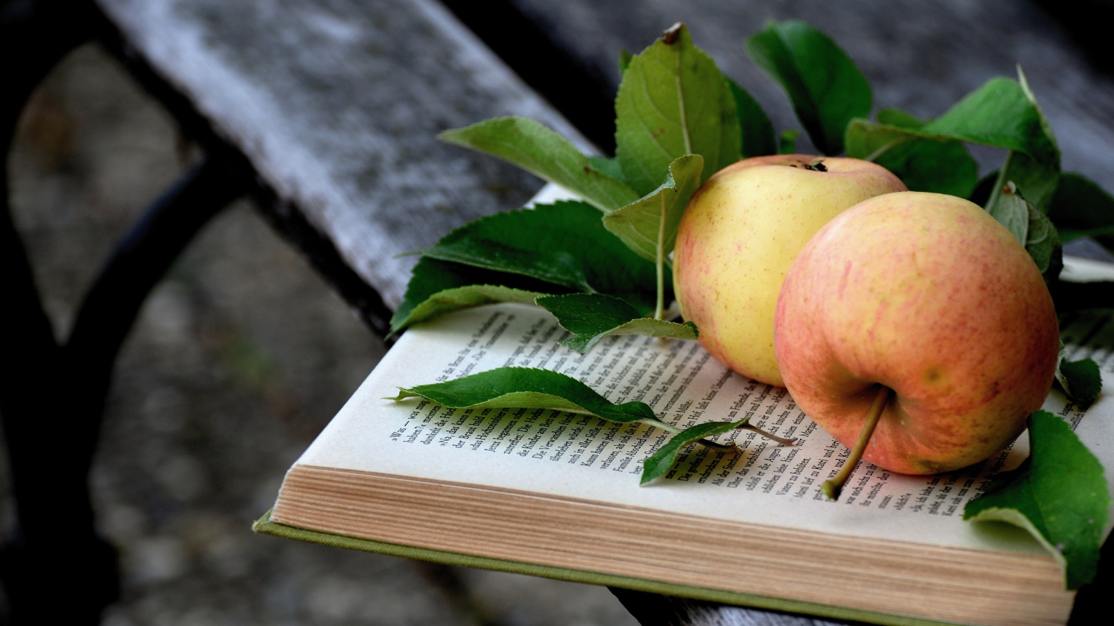 Two apples with green leaves on a book