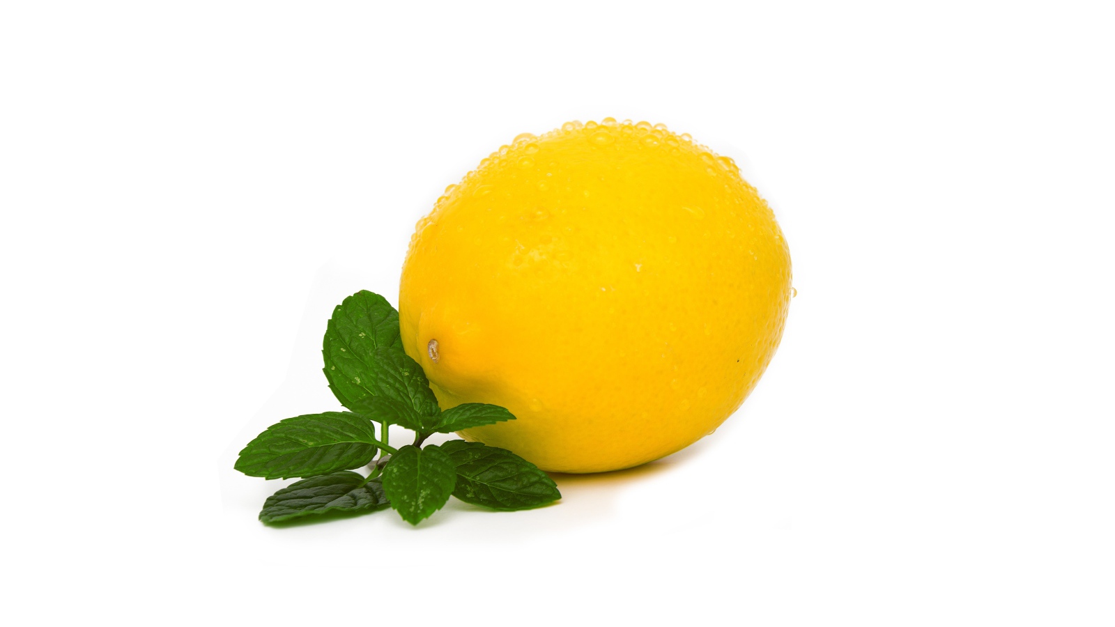 Мокрый лимон с мятой на белом фоне