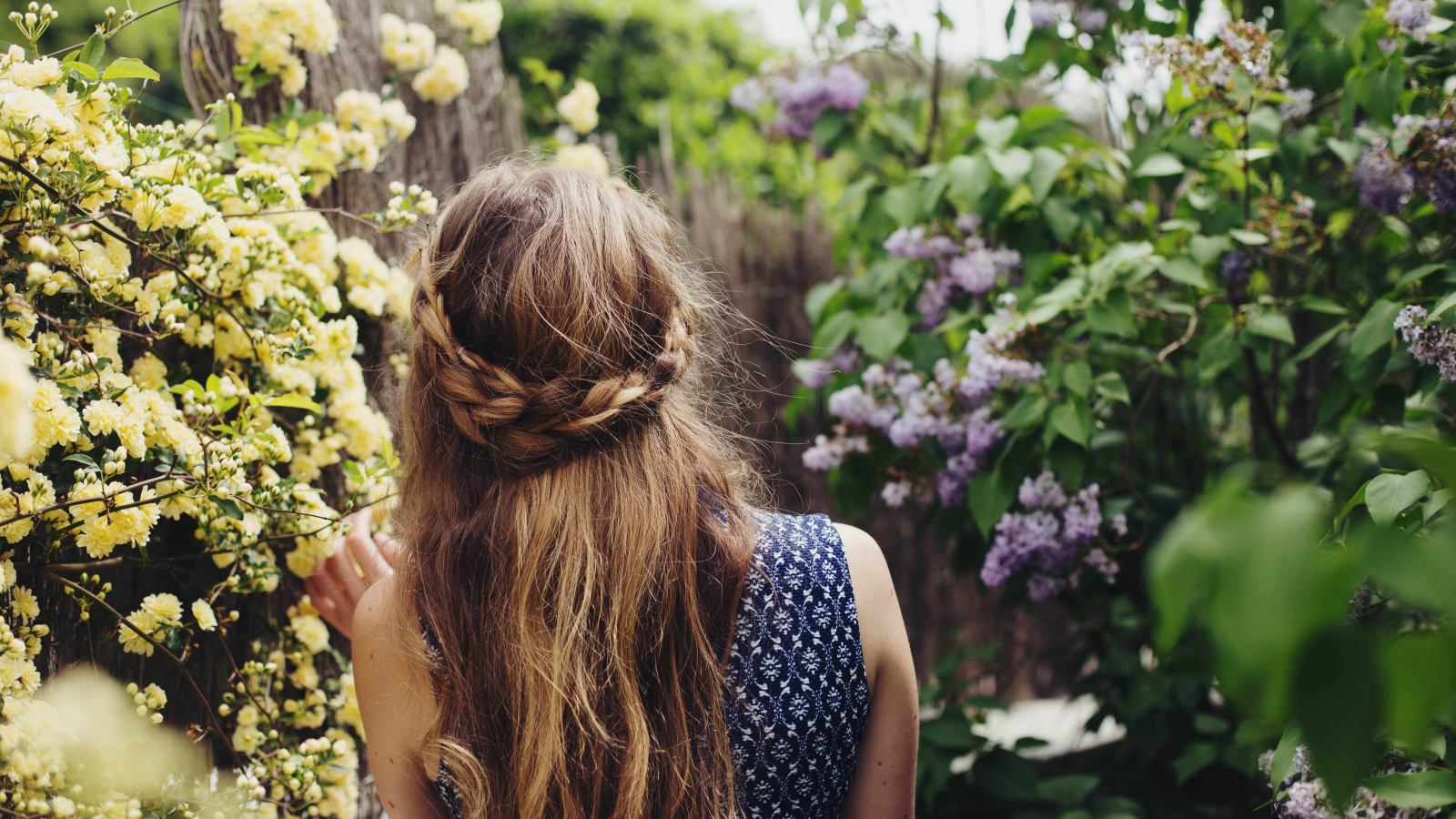Красивая девушка с косой на голове идет по зарослям сирени 