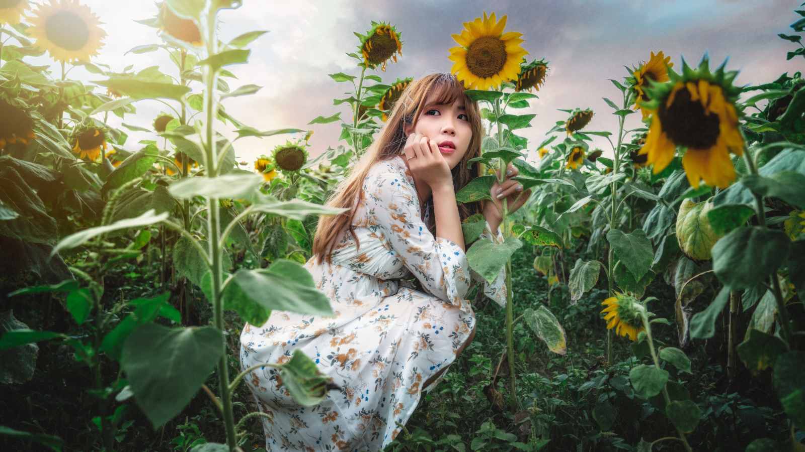 Красивая девушка азиатка на поле с подсолнухами 