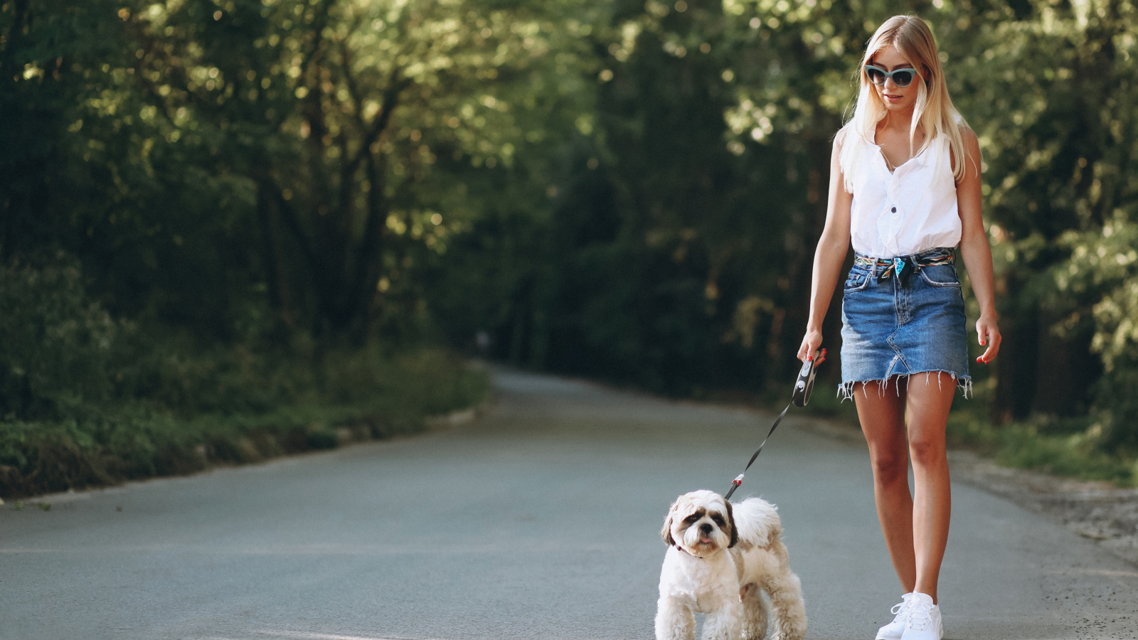 Красивая блондинка идет по дороге с собакой