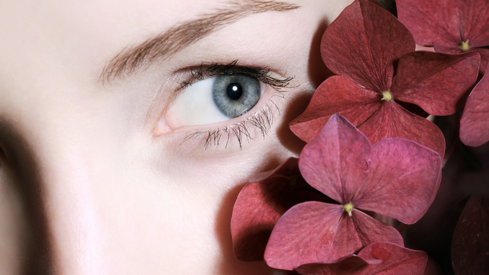 Глаз красивой девушки с красными цветами