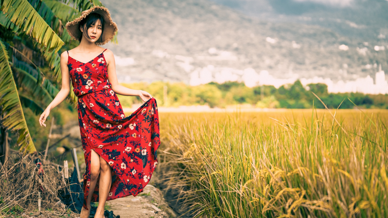 Молодая азиатка в сарафане на рисовом поле 
