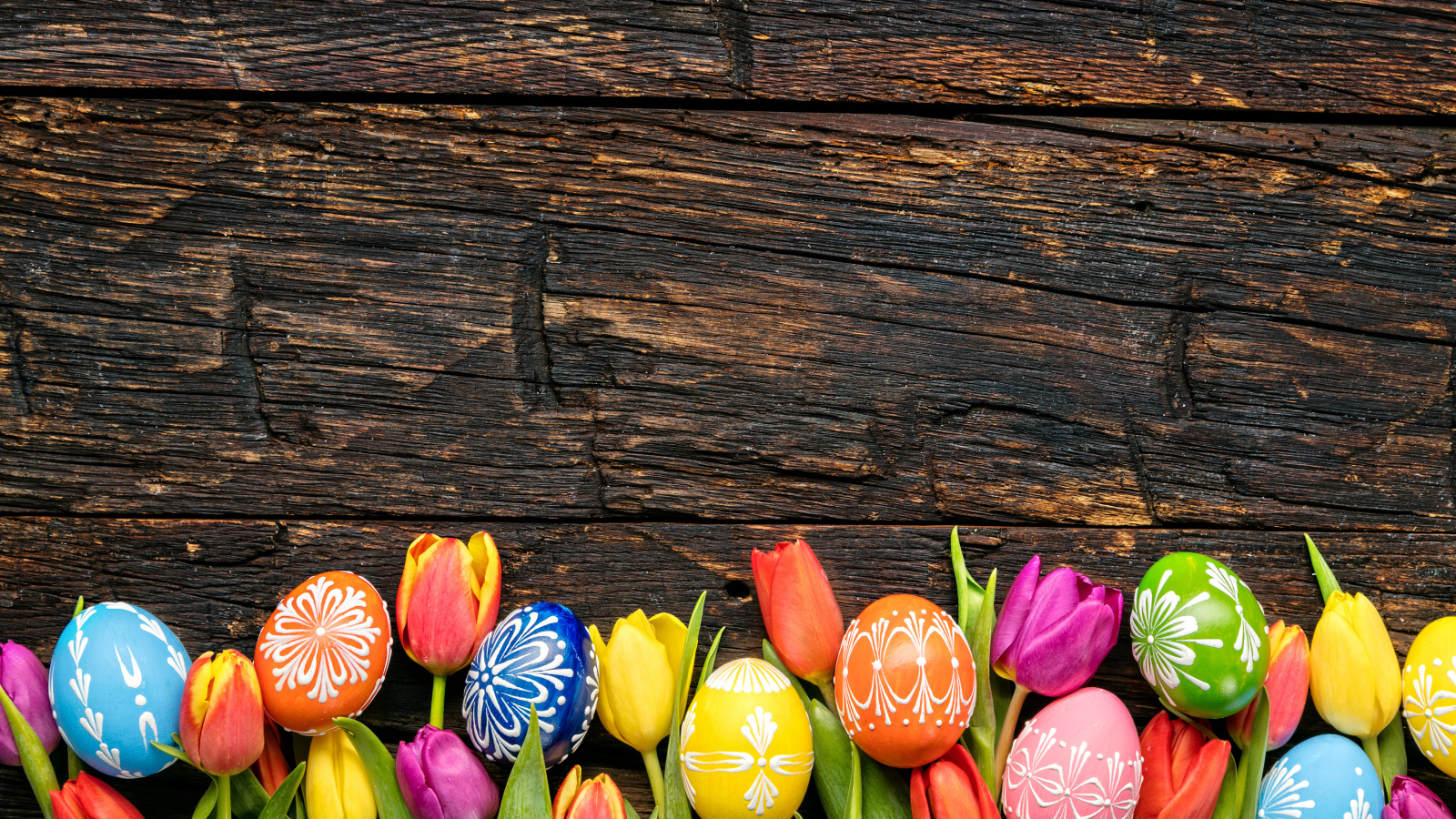 Разноцветные яйца и цветы тюльпана, шаблон для открытки на Пасху 