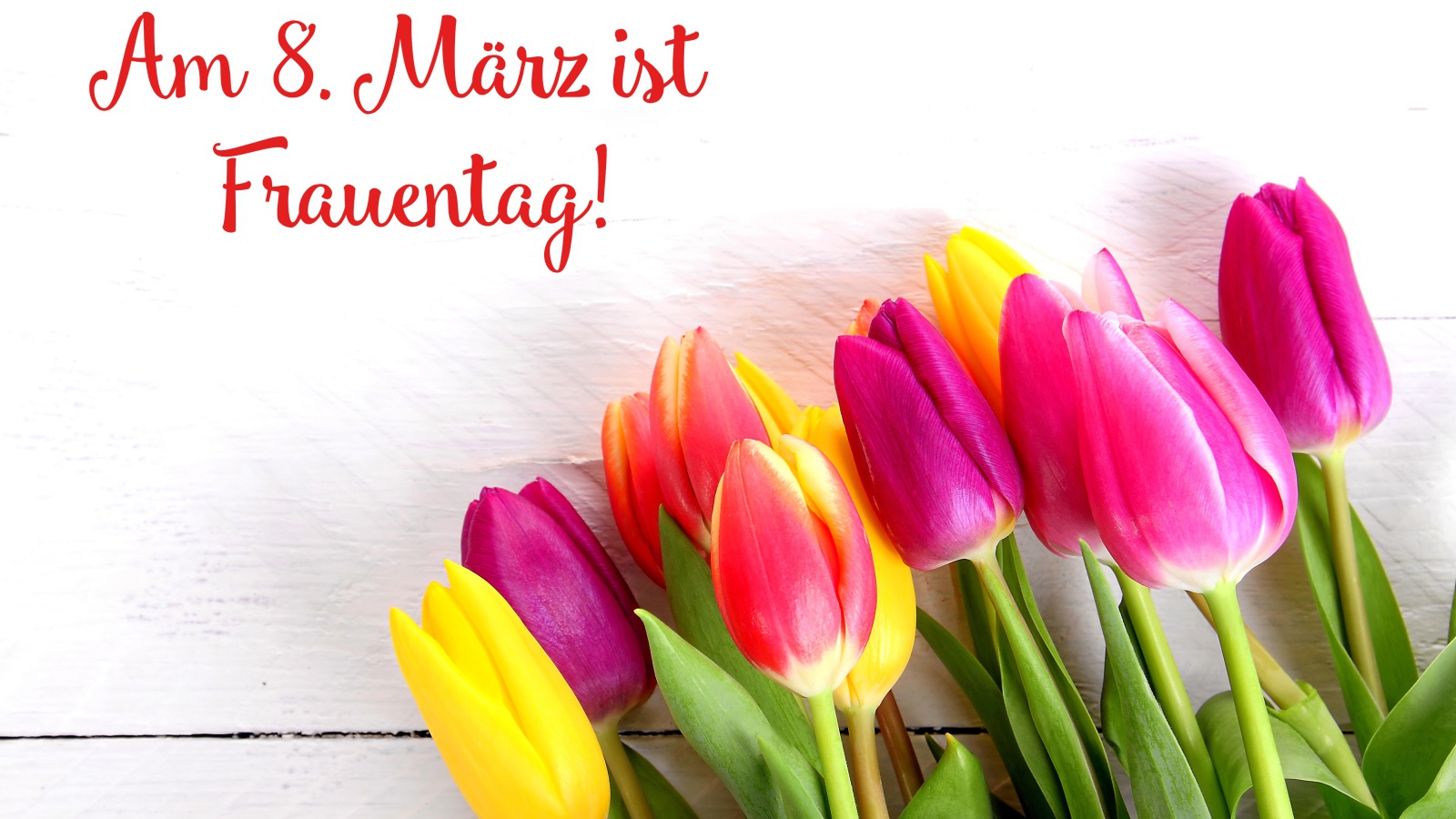 Красивый букет  тюльпанов на Международный женский день 8 марта