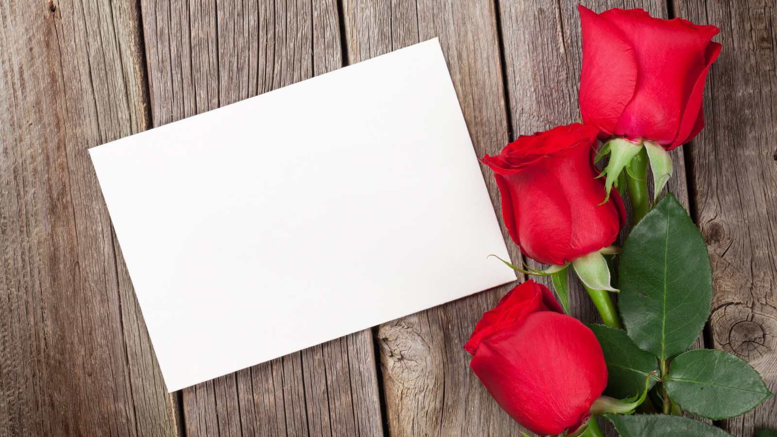 Три красные розы и лист бумаги, шаблон поздравительной открытки