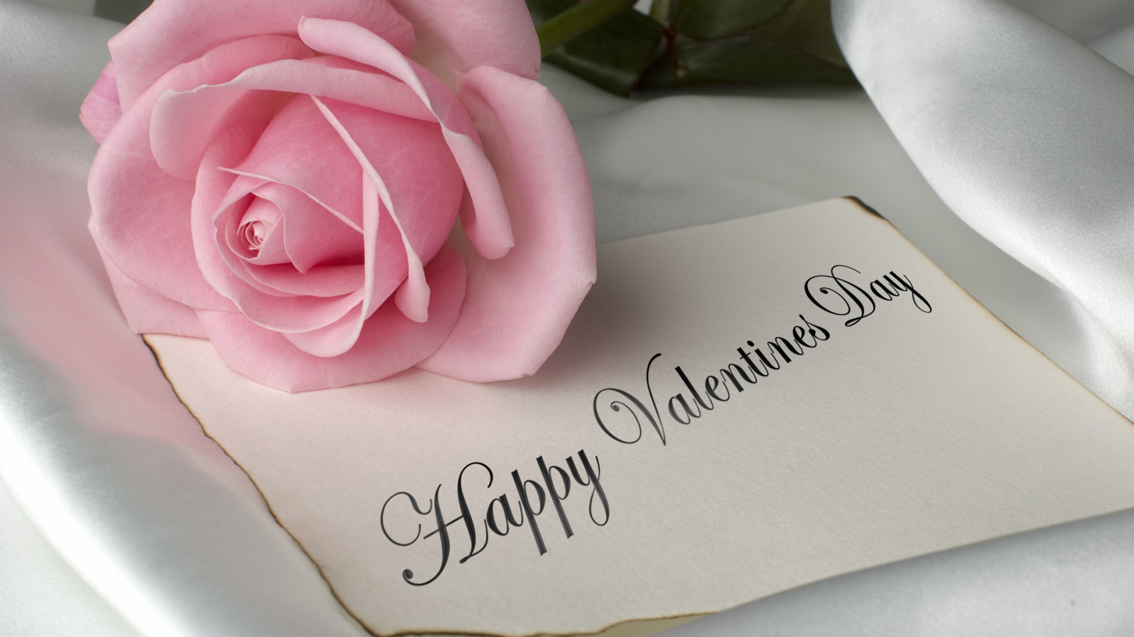 Розовая роза и открытка на День Святого Валентина 