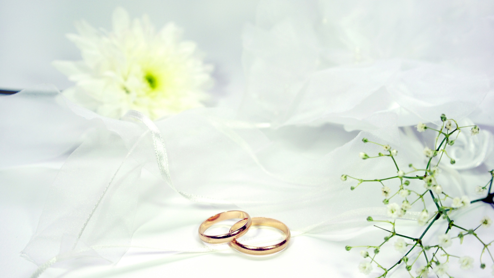 Два золотых обручальных кольца на белом фоне с цветами