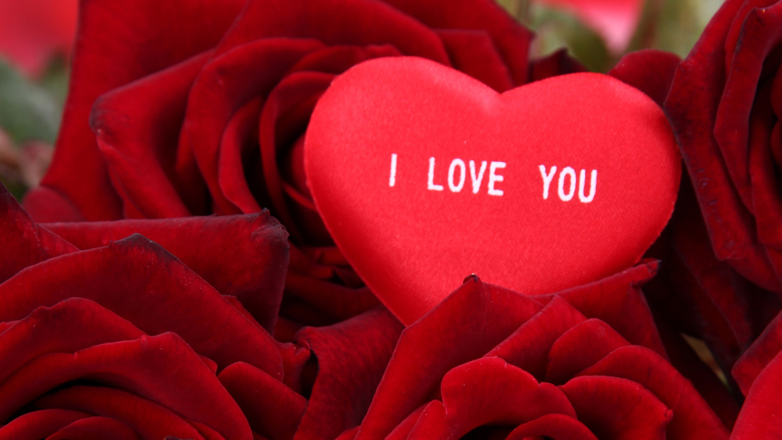 Маленькое сердце лежит на букете красных роз 