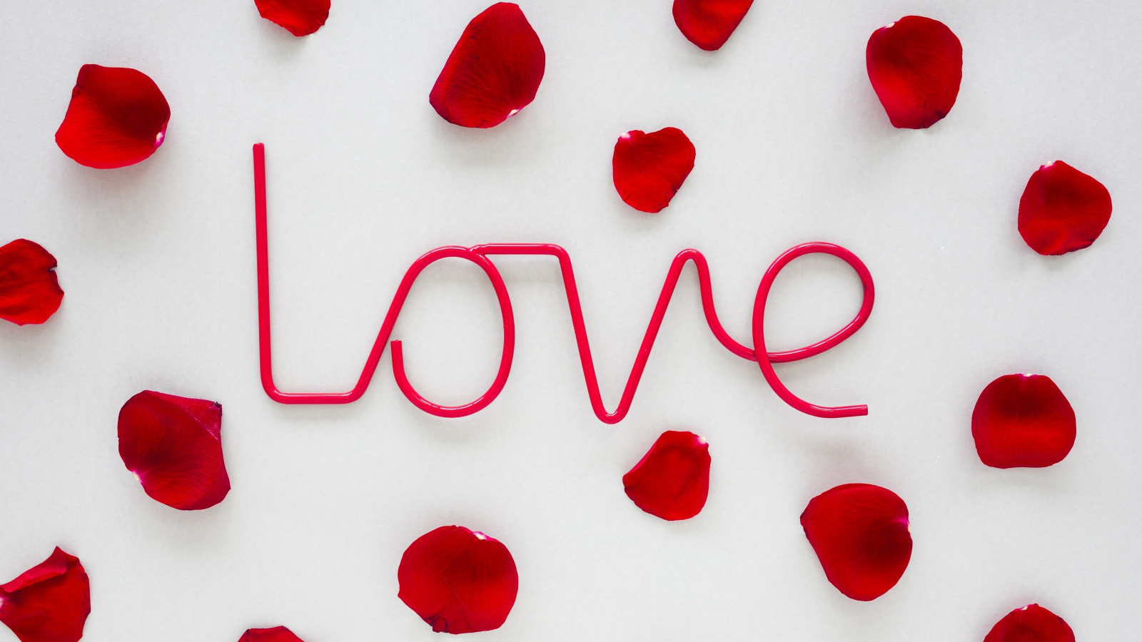 Розовая надпись Love на сером фоне с лепестками розы 