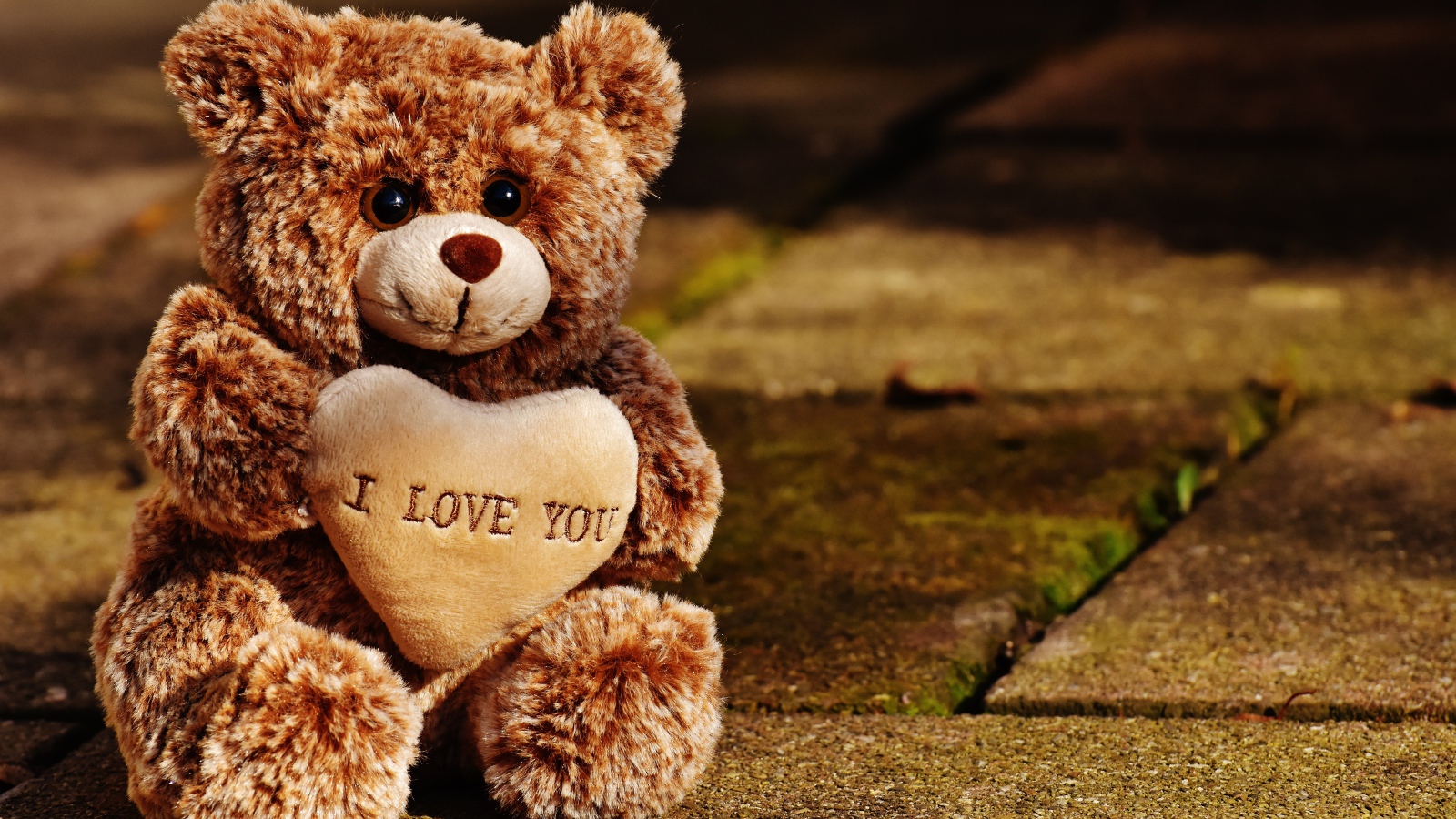 Игрушечный медведь с сердцем сидит на дороге 