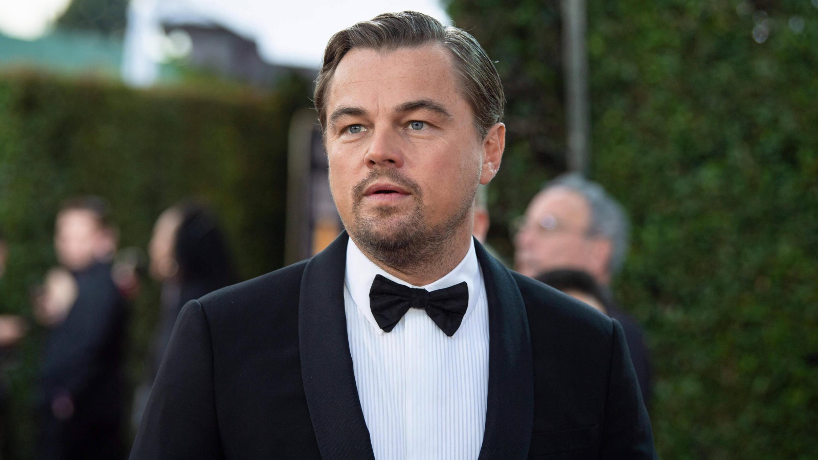 Популярный актер Леонардо Ди Каприо в костюме