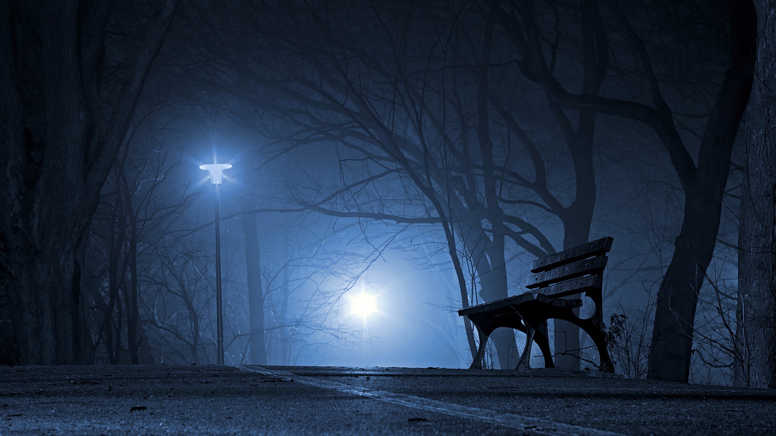 Лавочка в холодном ночном парке 