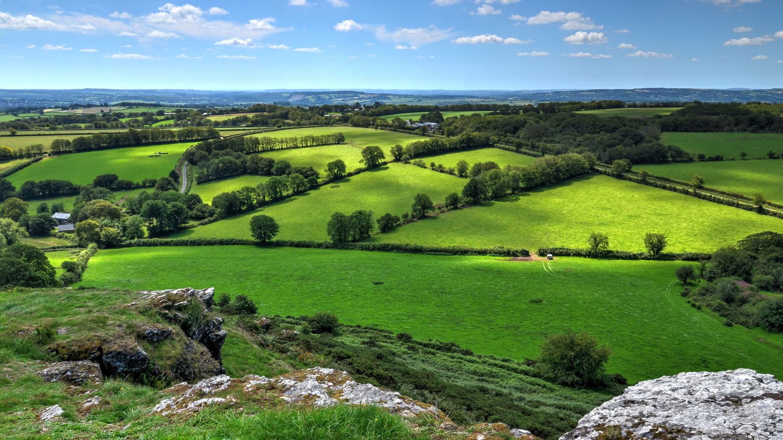 Красивые зеленые луга в лучах солнца под голубым небом