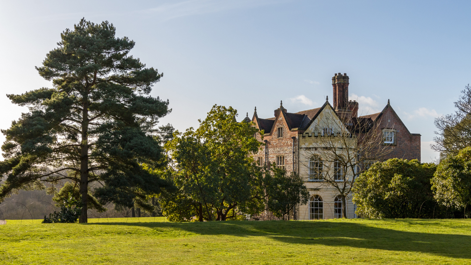 Красивый дом с деревьями и зеленым газоном