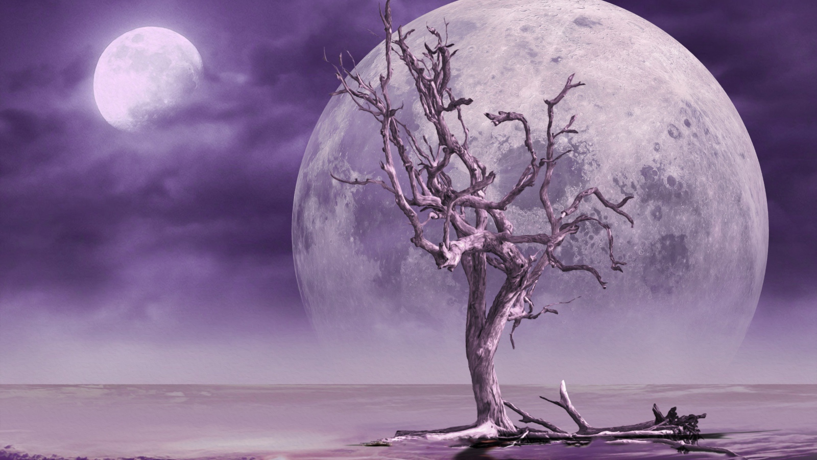 Большая луна в небе у сухого дерева