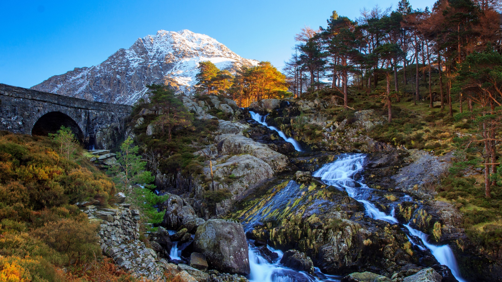 Mountain stream flows down the stones at the coniferous forest