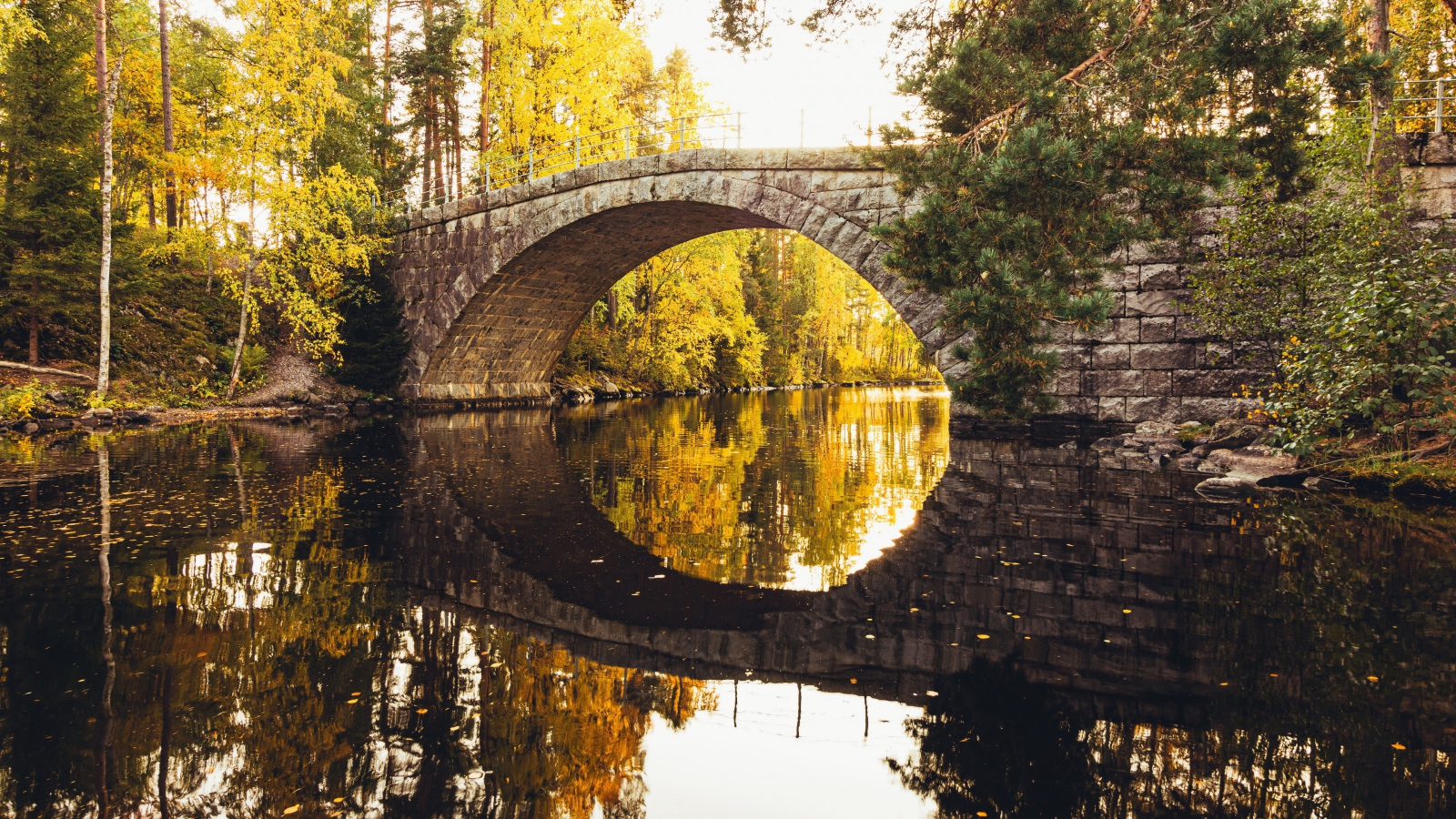 Old stone bridge over the river in the forest