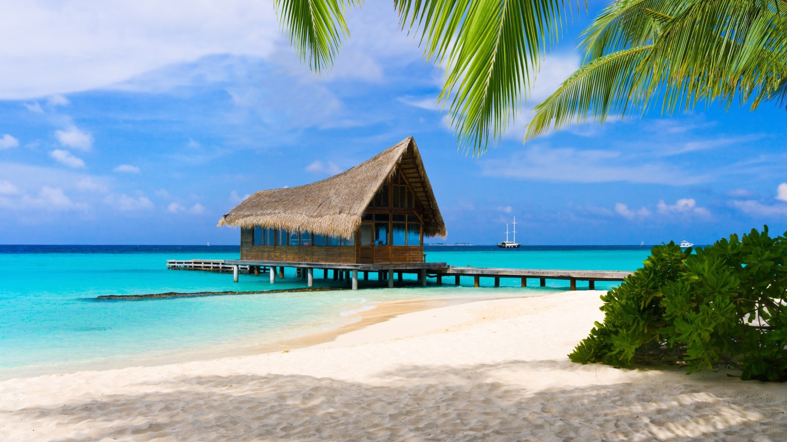 Дом на сваях на берегу тропического пляжа с белым песком
