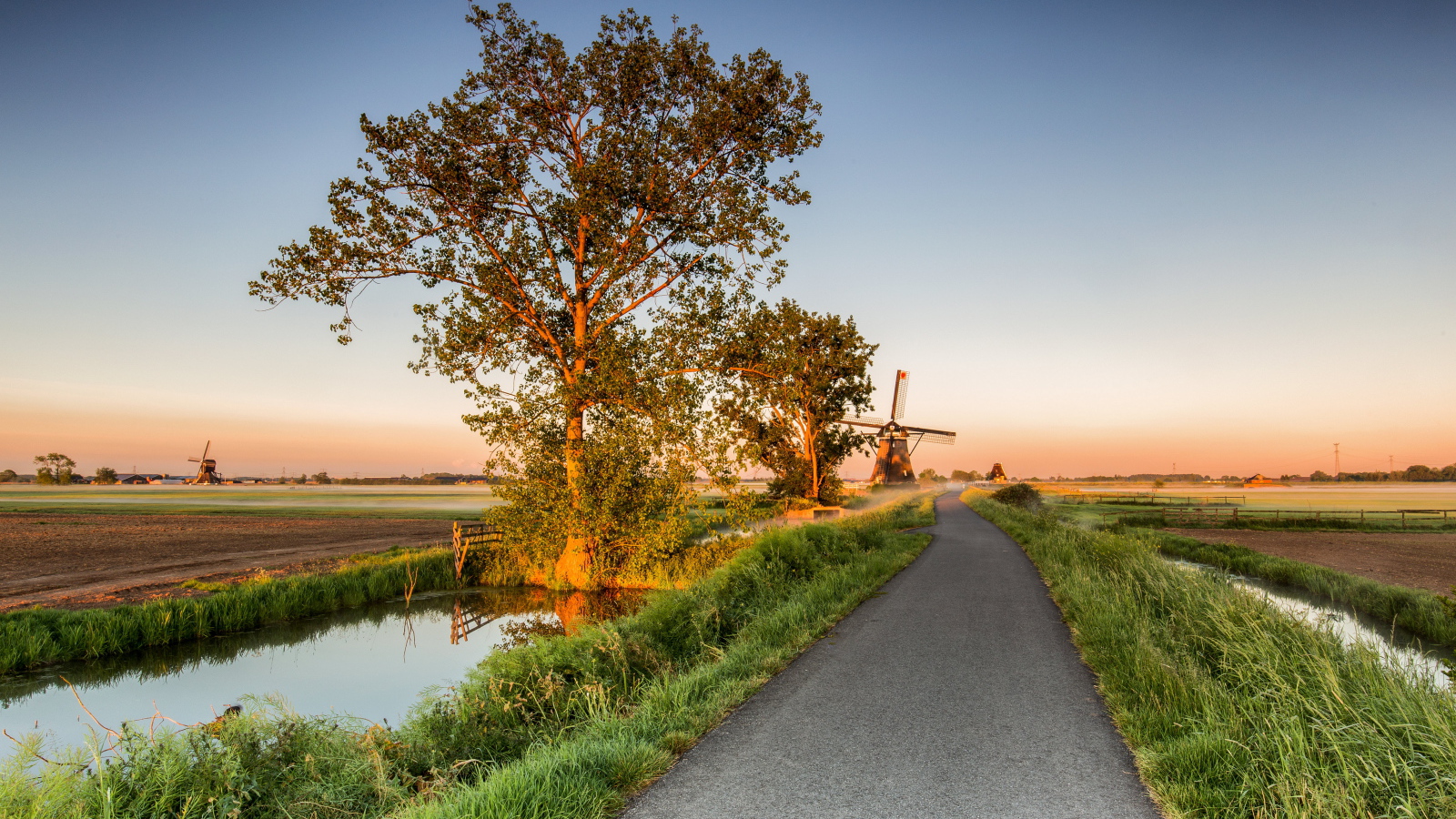 Поле и мельница у дороги на рассвете 