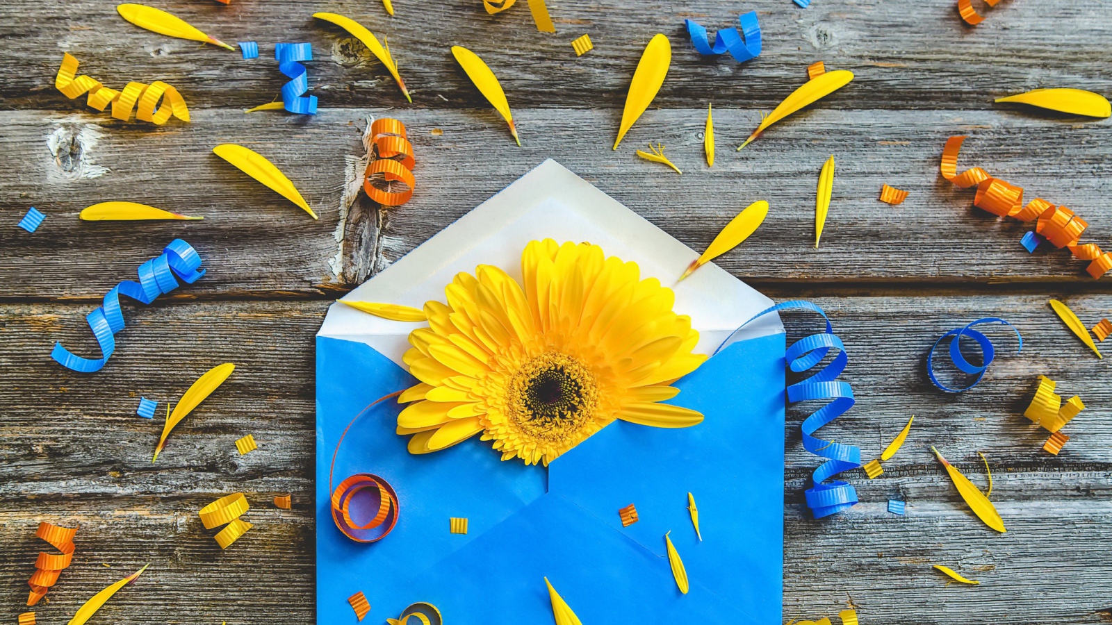 Синий конверт с желтым цветком гербер 