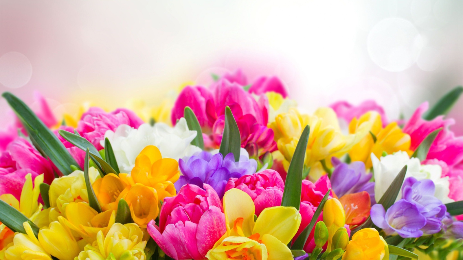 Букет разноцветных цветов  крупным планом