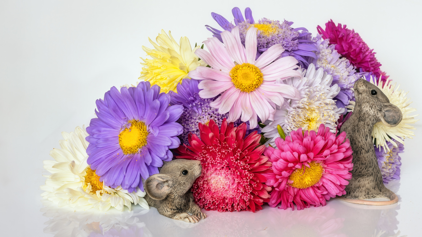 Букет разноцветных цветов астры с фигурками мышей
