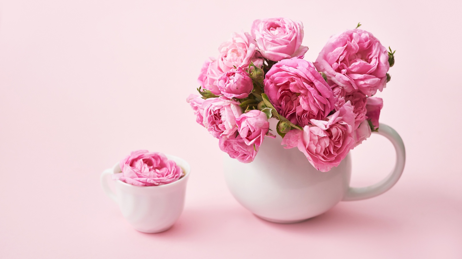 Букет розовых роз в белом кувшине на столе