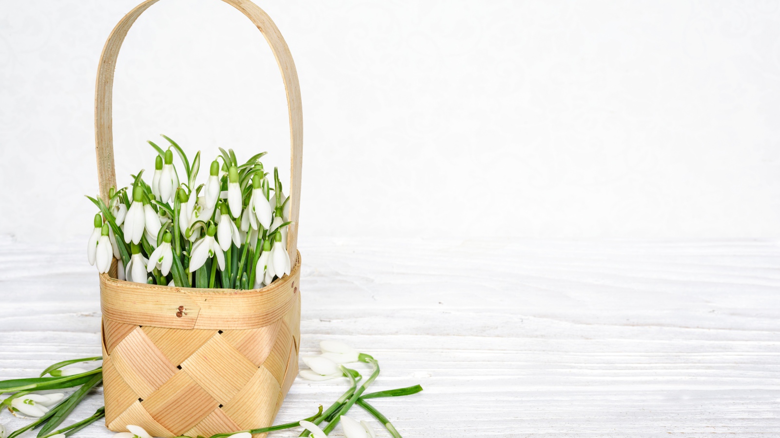 Букет подснежников в корзине на белом столе 