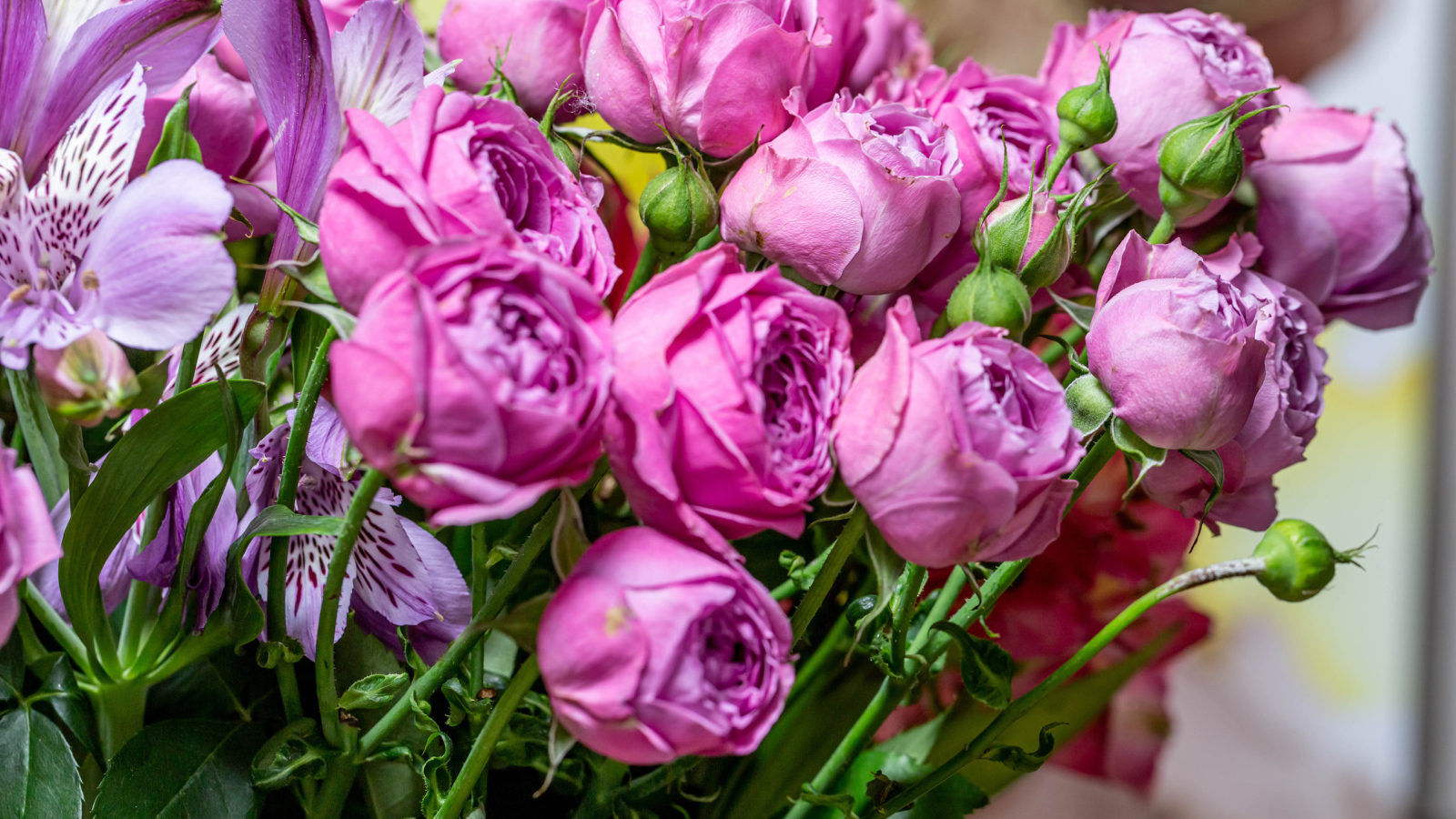 Розовые розы с бутонами в букете с цветами альстромерии