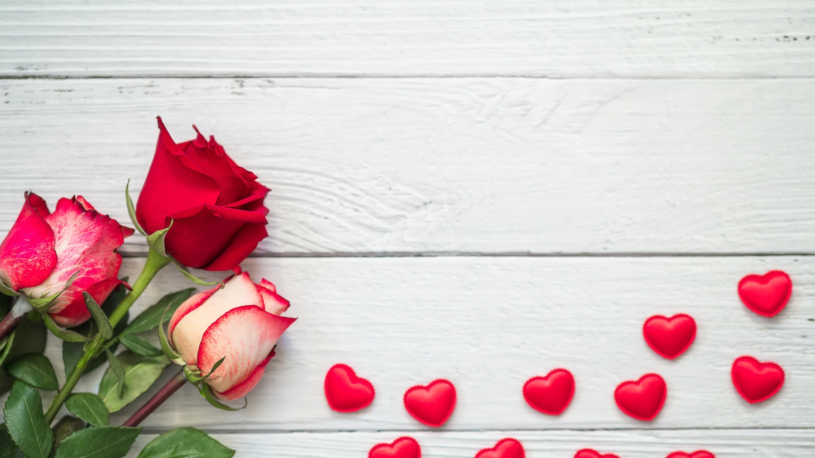 Три свежие розы на сером столе с красными сердечками