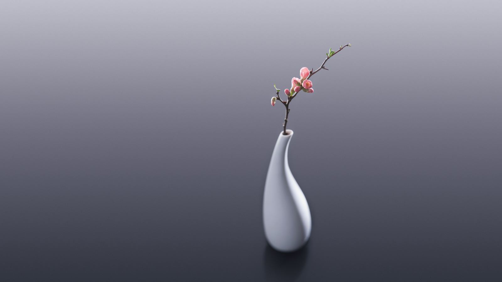 Белая ваза с веткой с розовыми цветами на сером фоне