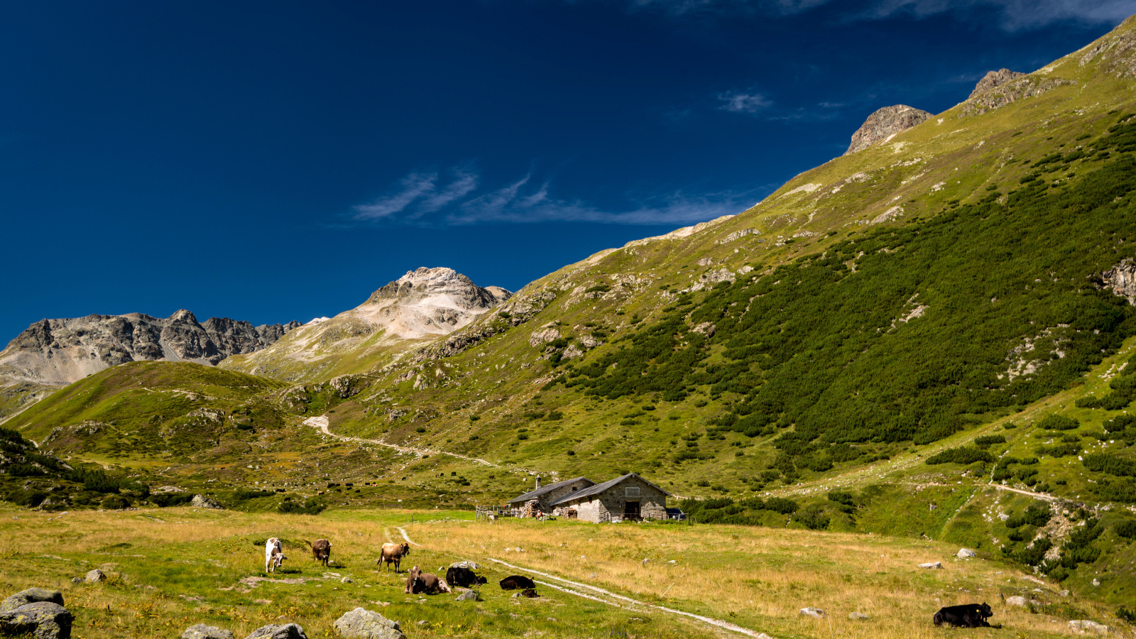 Поселение у покрытых зеленью гор под голубым небом