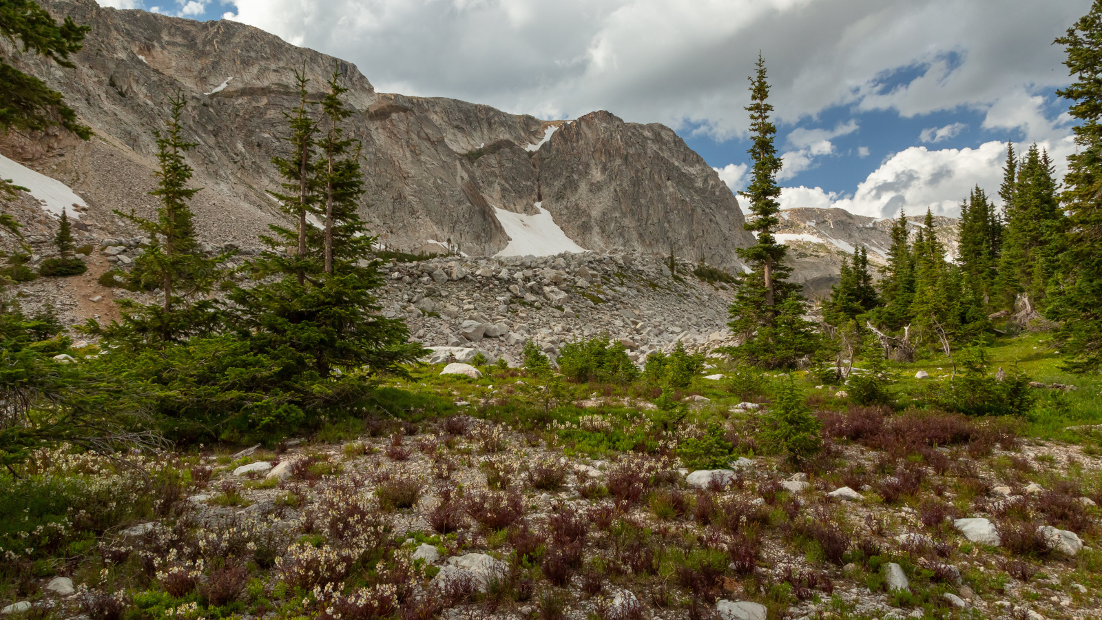 Ели у подножия каменных гор под небом с белыми облаками