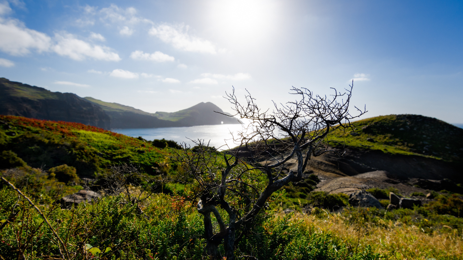 Зеленые утесы у моря на фоне яркого солнца