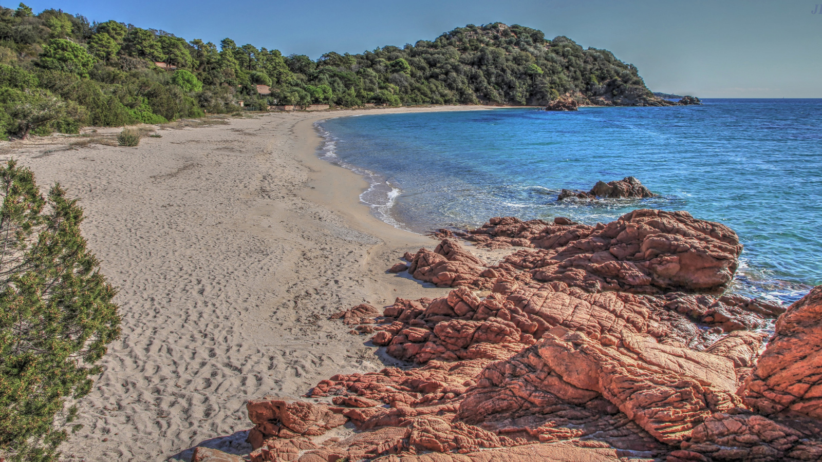 Камни на берегу моря у леса 