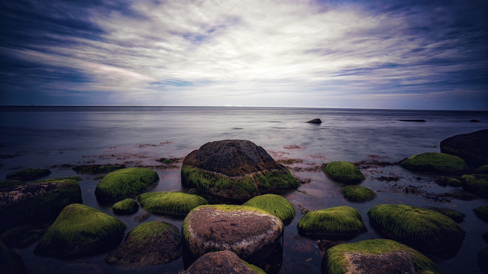 Мокрые покрытые зеленым мхом камни в море 