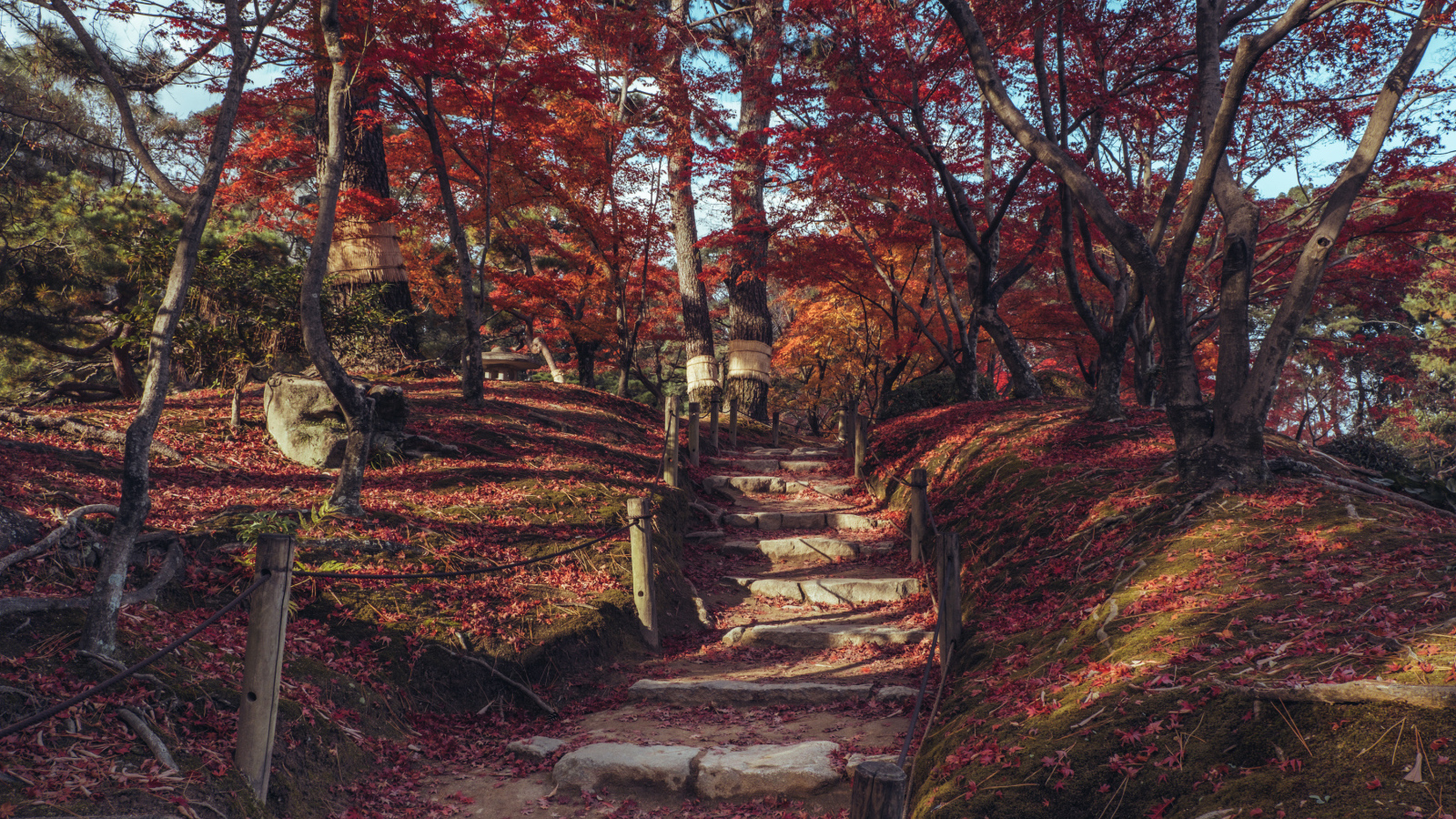 Лестница в осеннем парке, Япония 
