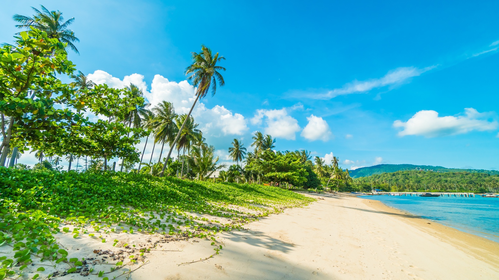 Красивый тропический пляж с теплым песком под голубым небом летом