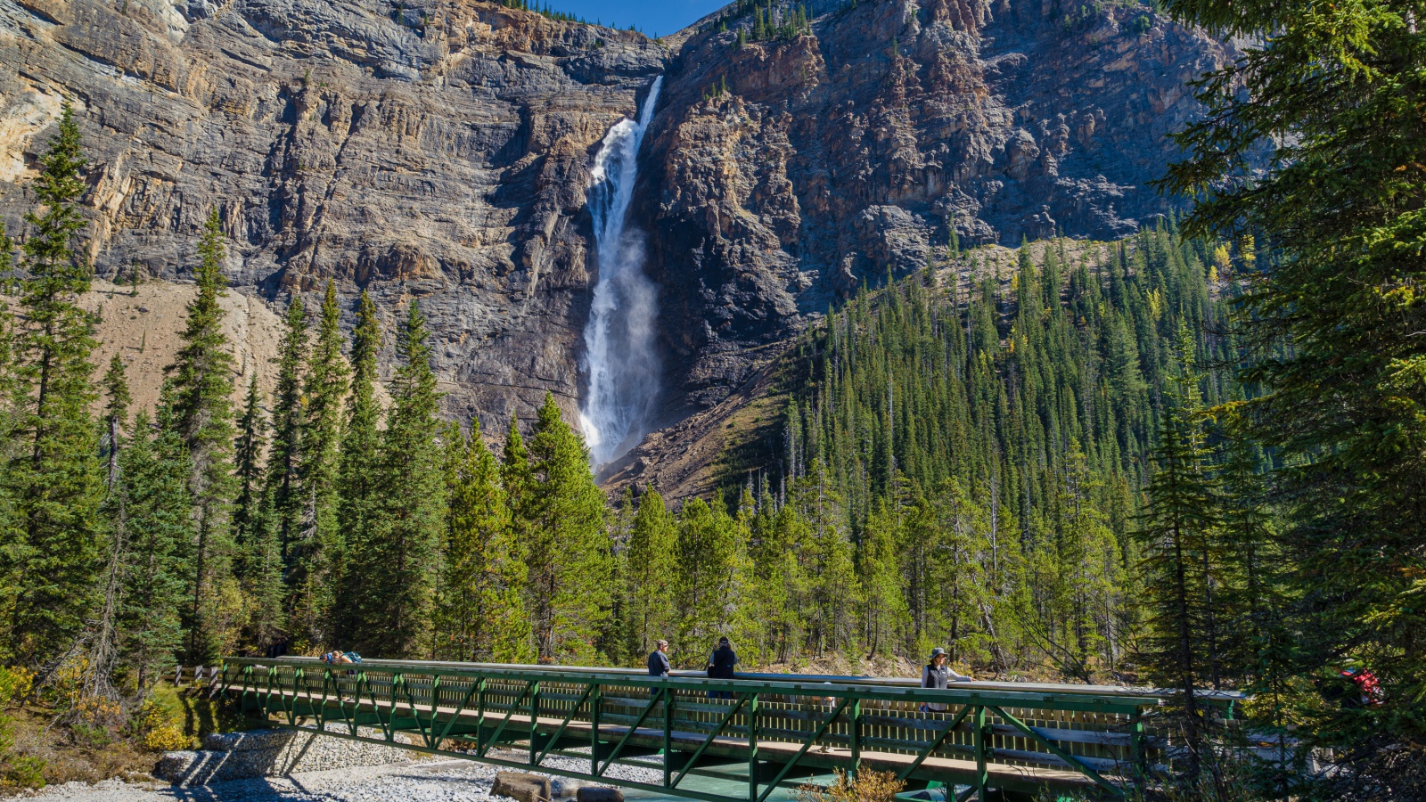 Водопад стекает по скале у  хвойного леса 