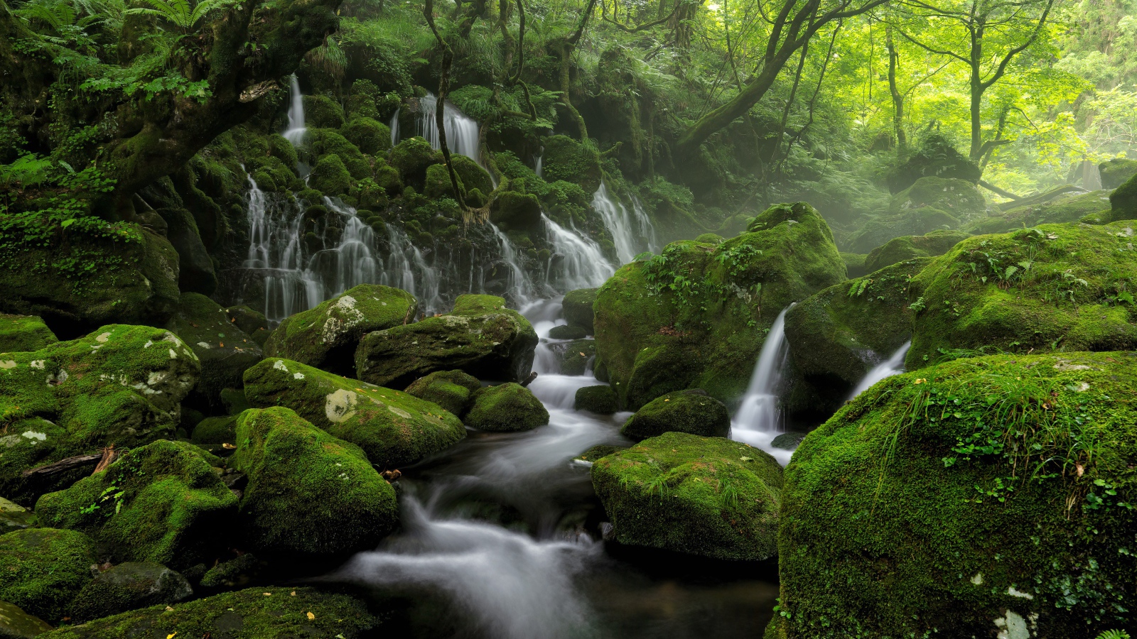 Вода стекает по старым покрытым мхом камням