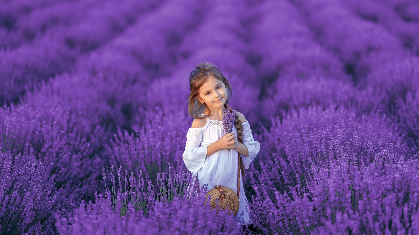Красивая маленькая девочка на лавандовом поле 