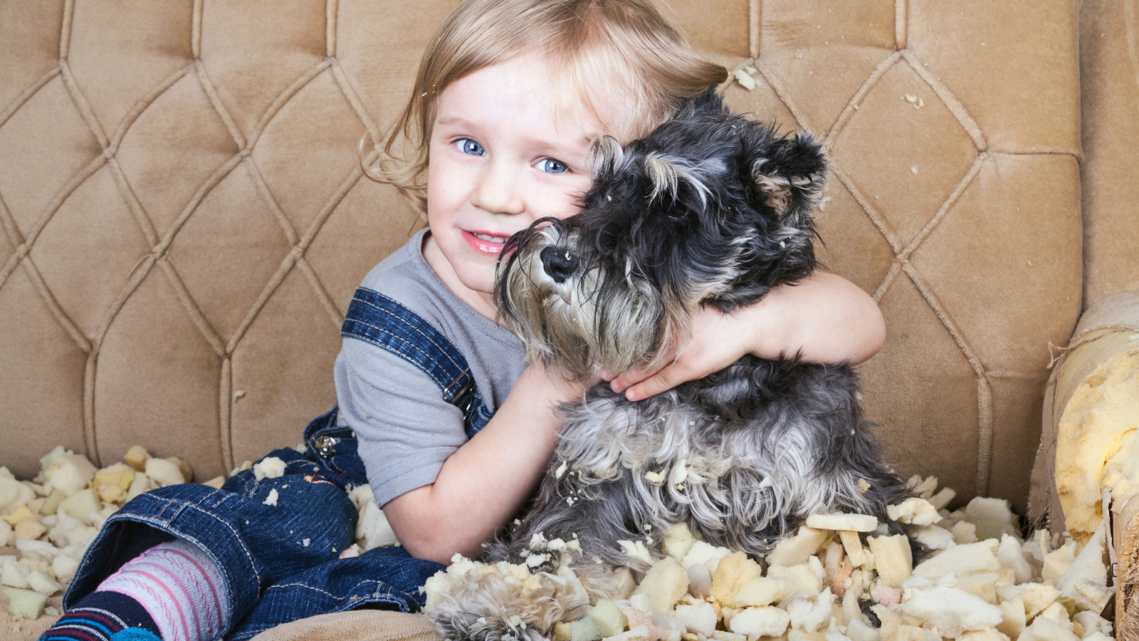 Маленький голубоглазый мальчик на диване