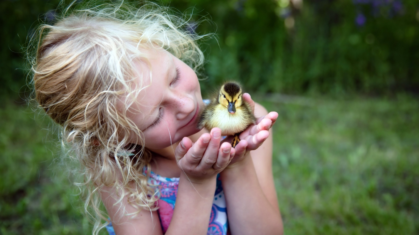 Маленькая милая девочка с утенком в руке