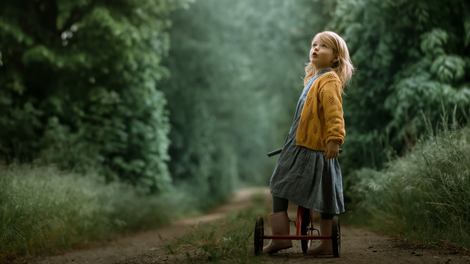 Маленькая девочка на трехколесном велосипеде 