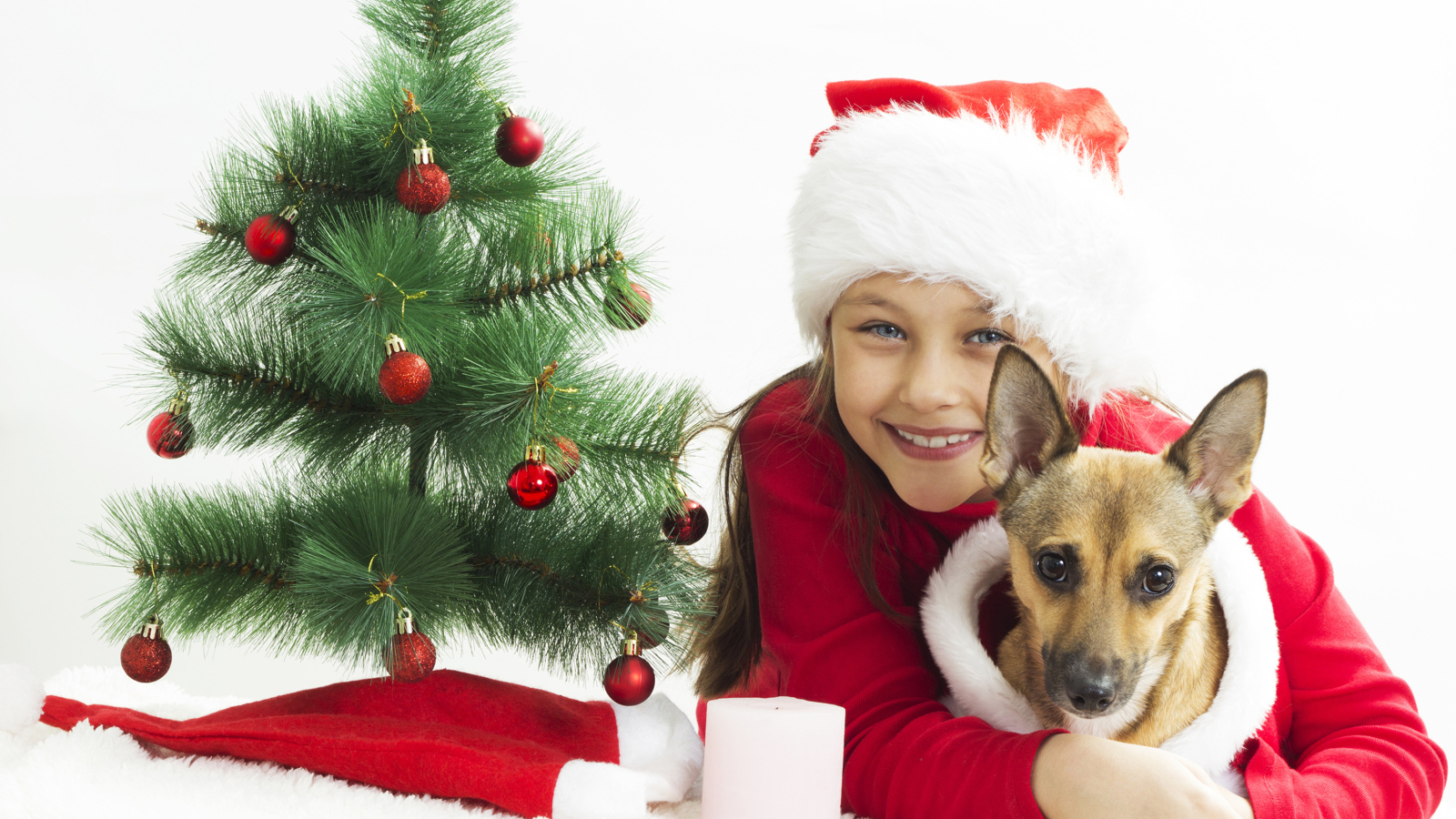 Улыбающаяся девочка с собакой у зеленой елки
