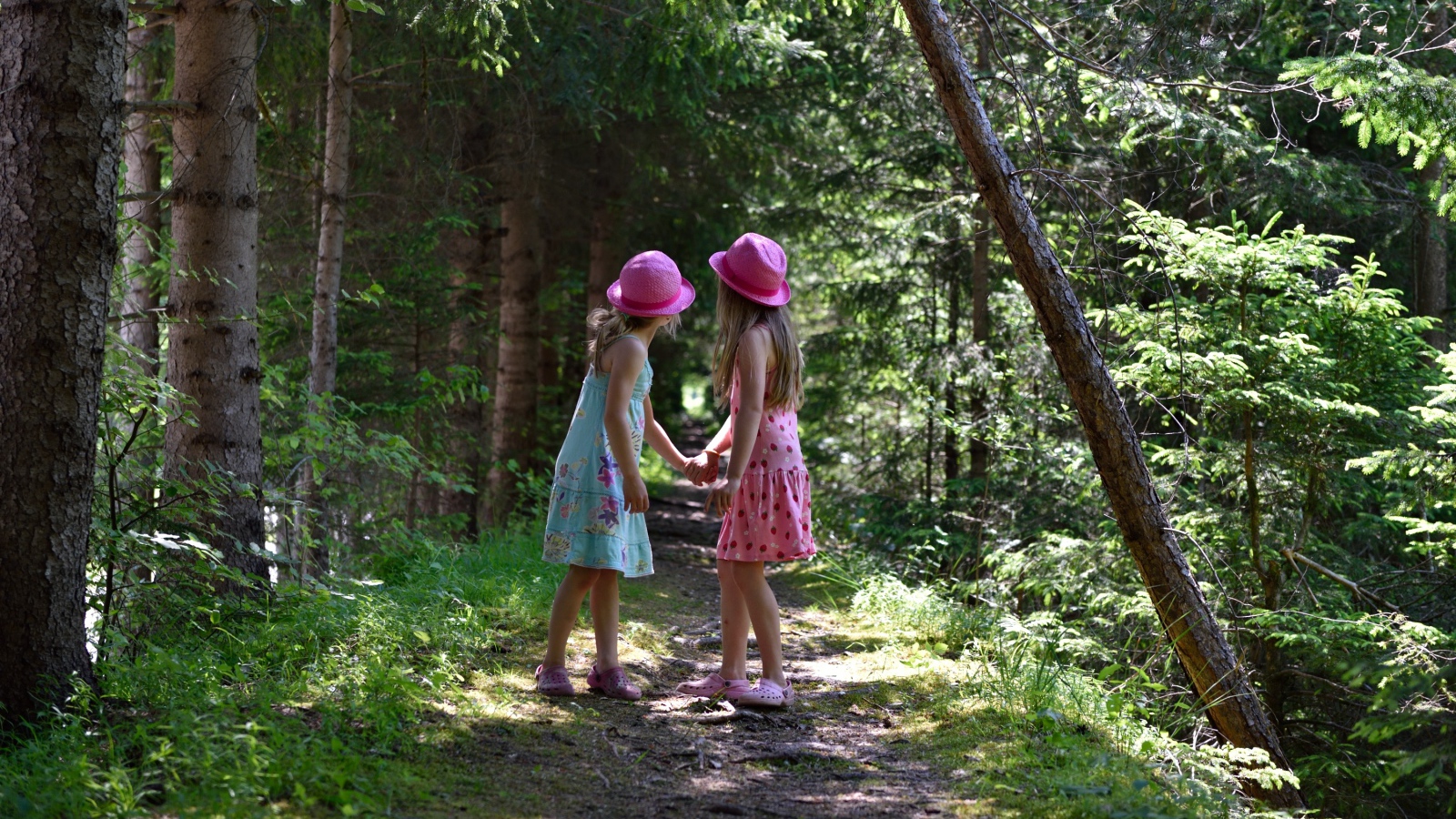 Гуляла девочка в лесу. Девочка в лесу. Дети в лагере в лесу. Девочка гуляет. Маленькую девочку в лесу.